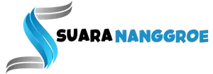 vinyl.suarananggroe.com